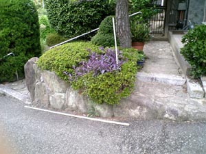 �A�v���[�`